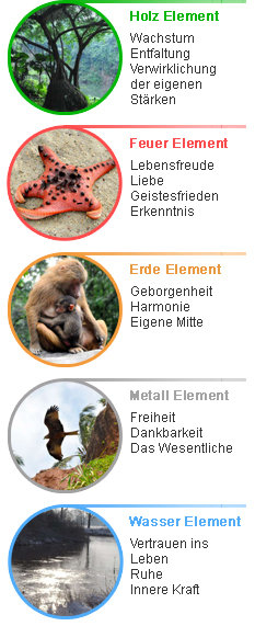 Fünf Elemente